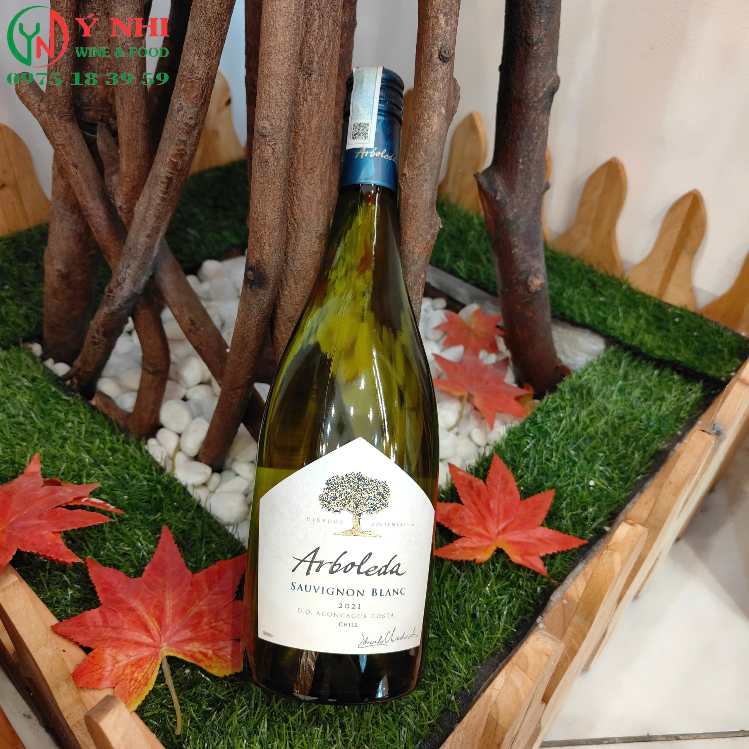 z6957641511704_7f9bca9fbe9d703e912153e340511134