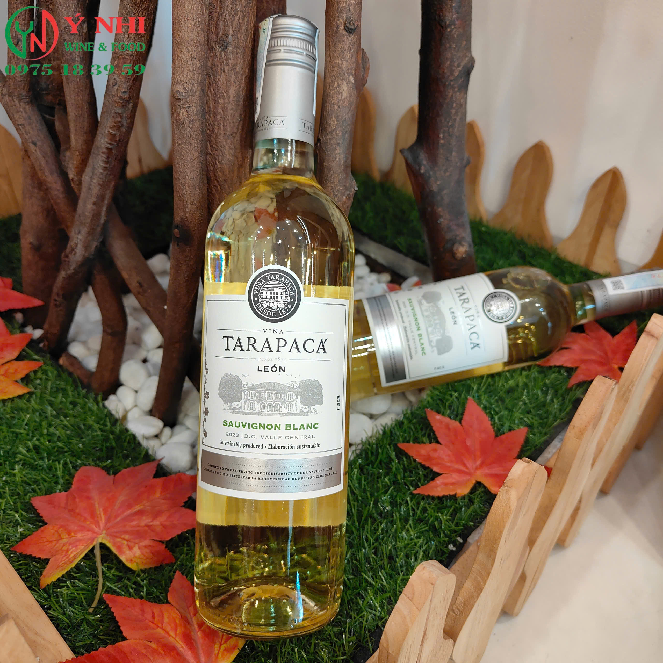 z7108745464279_30d6d5bf0d984f68bff8de01552c36cc